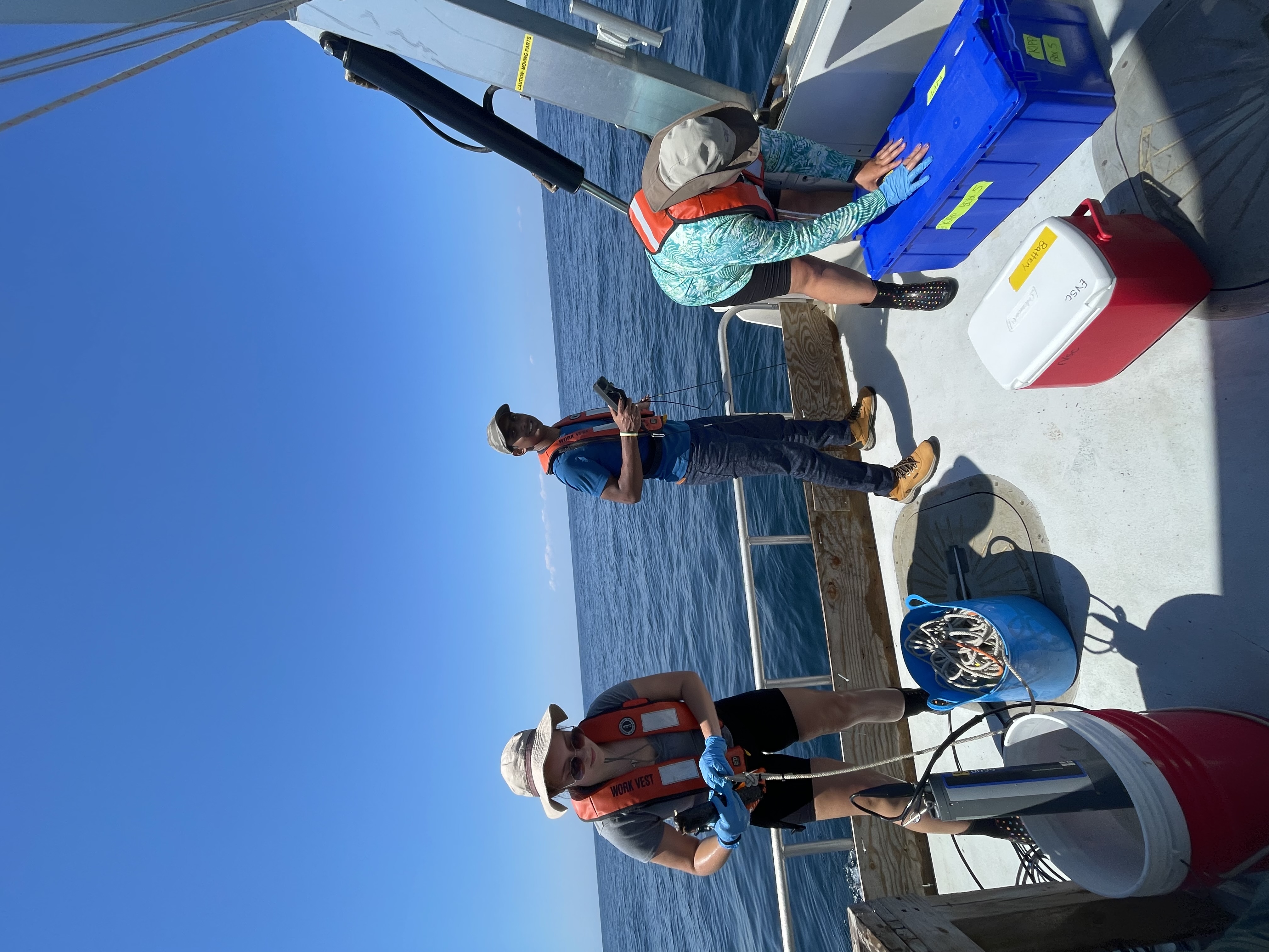 Coastal groundwater sampling