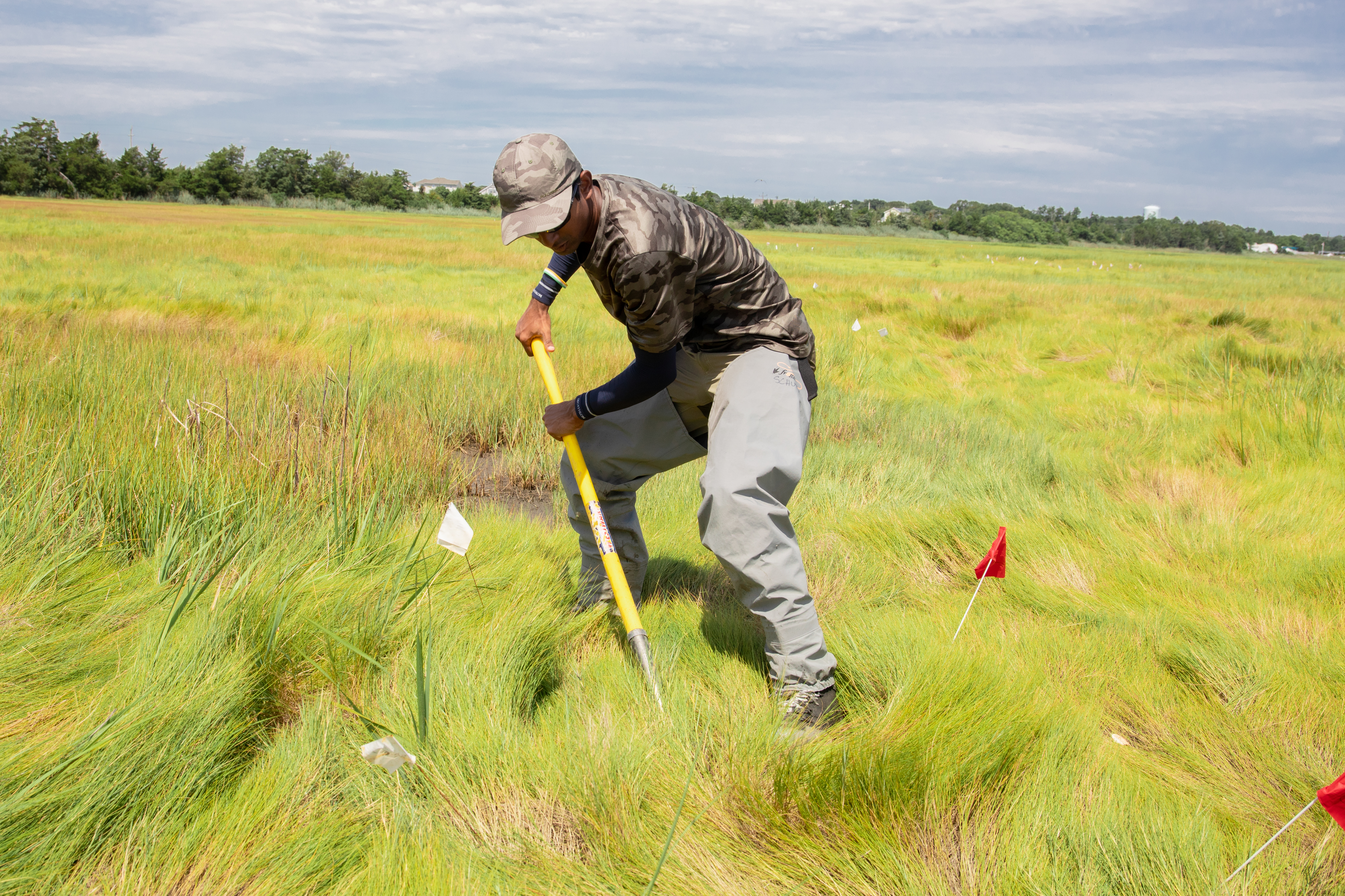Salt-marsh creek and channels